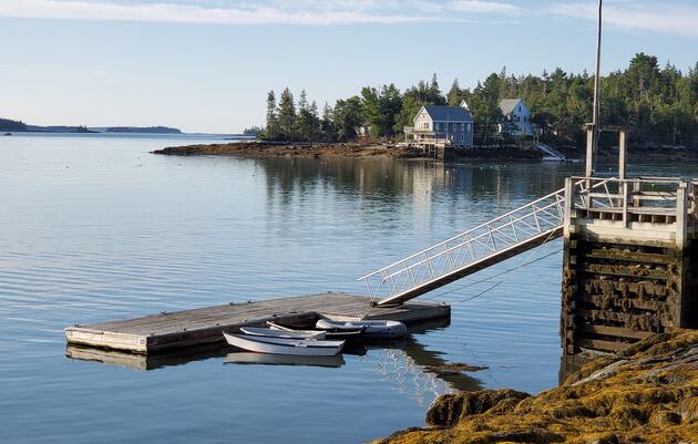 What to expect at Hog Island