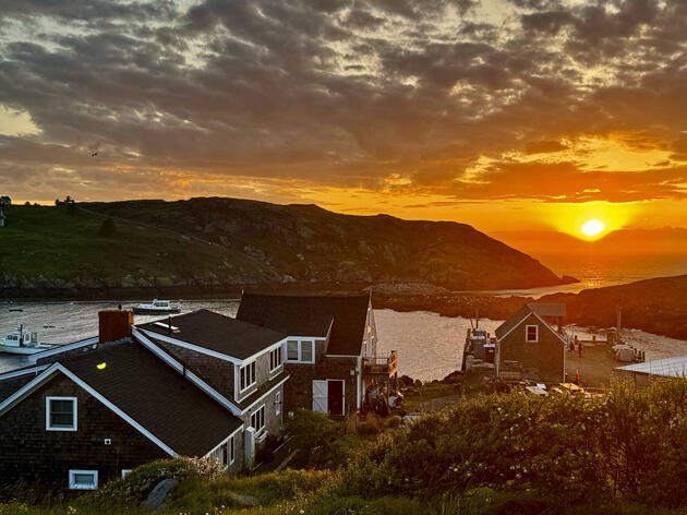 Spring Migration & Monhegan Island