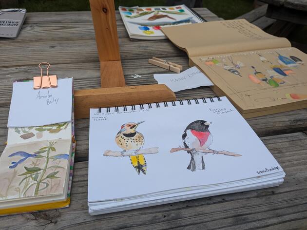 Arts & Nature, Sketching and Painting 