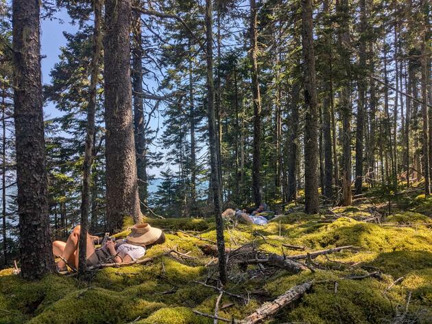 Mindful Birding: Rekindling Connections with Nature