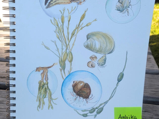 Hog Island Arts Getaway