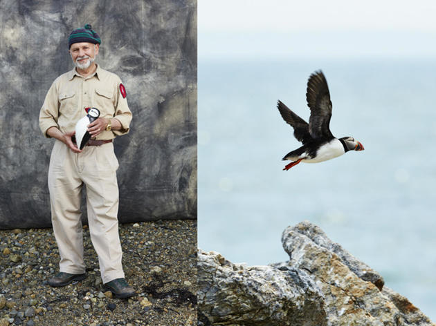 Project Puffin: The Improbable Quest to Bring a Beloved Seabird Back to Egg Rock