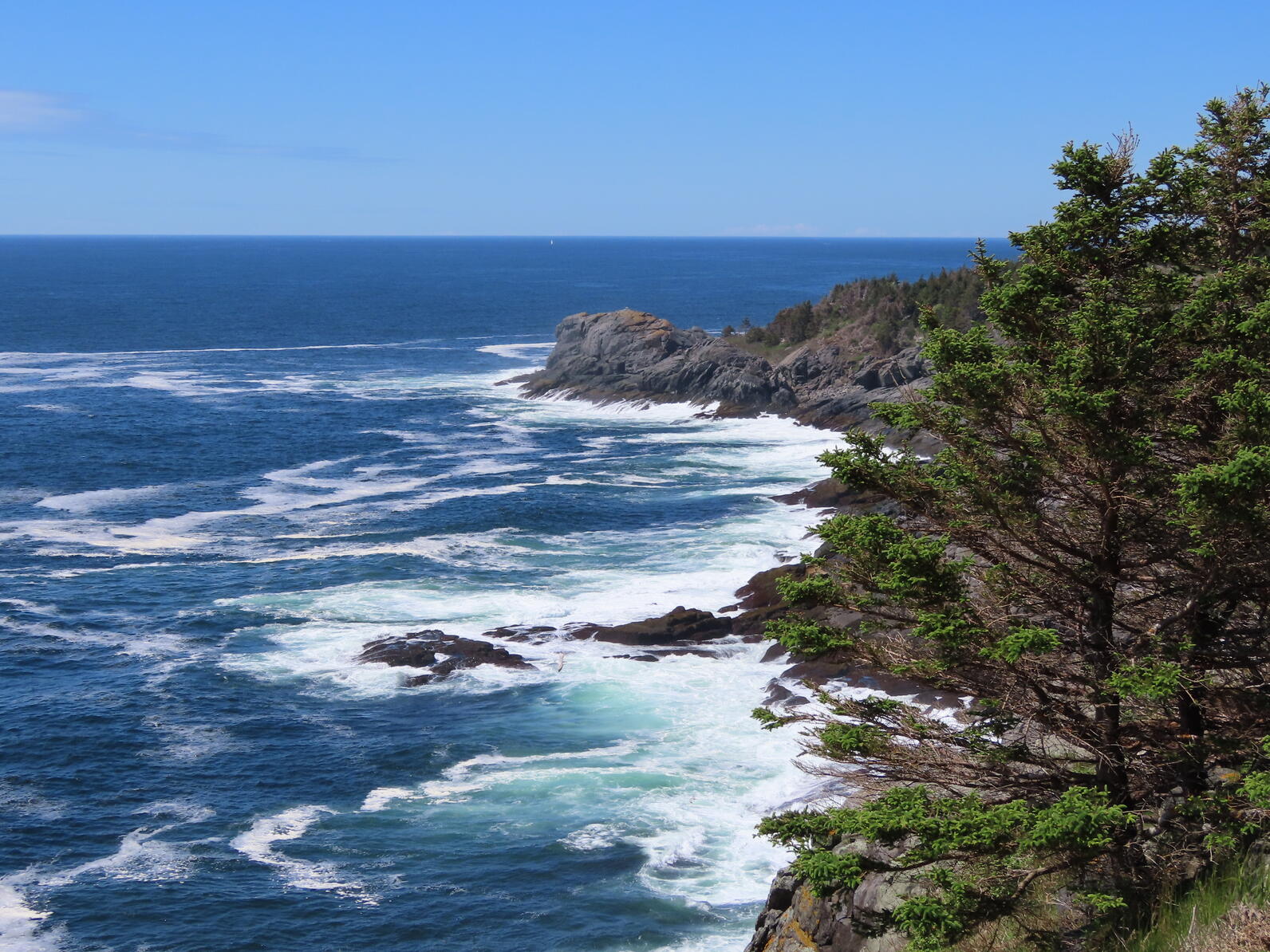 May 2024, Cliffs on Monhegan Island