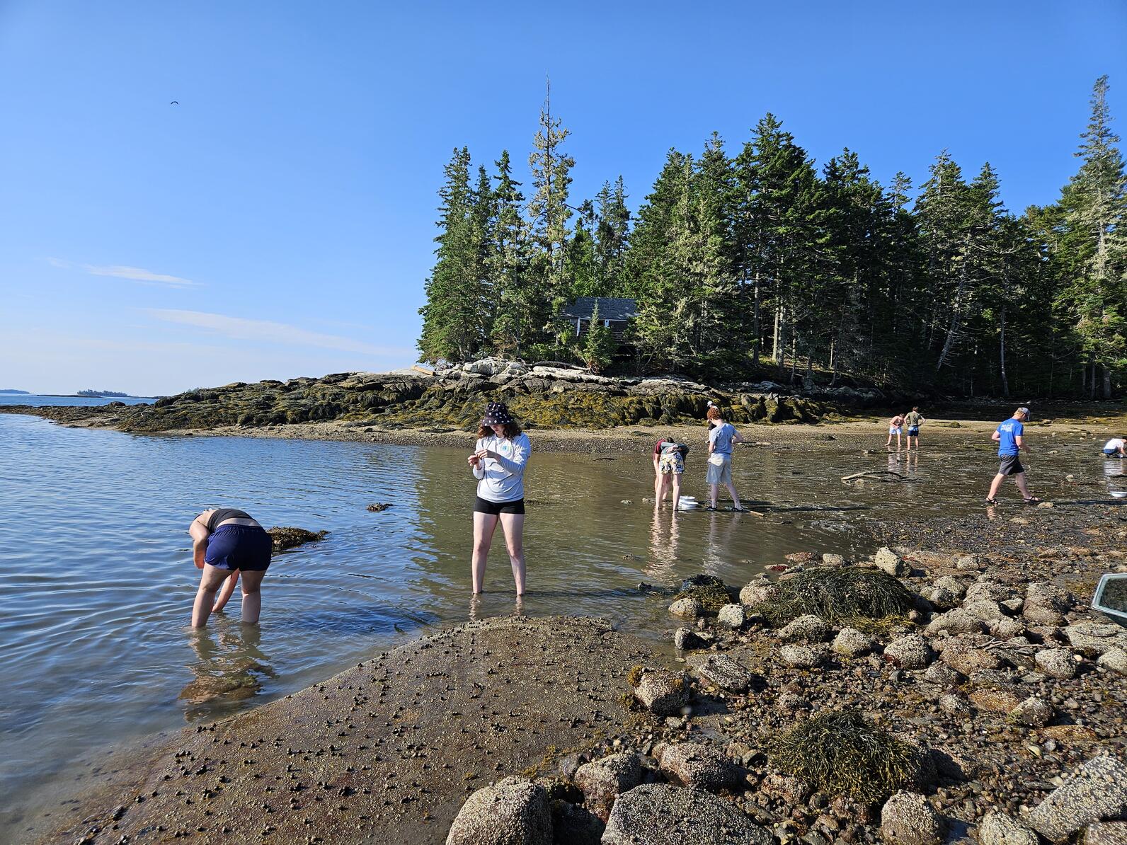 Intertidal Exploration