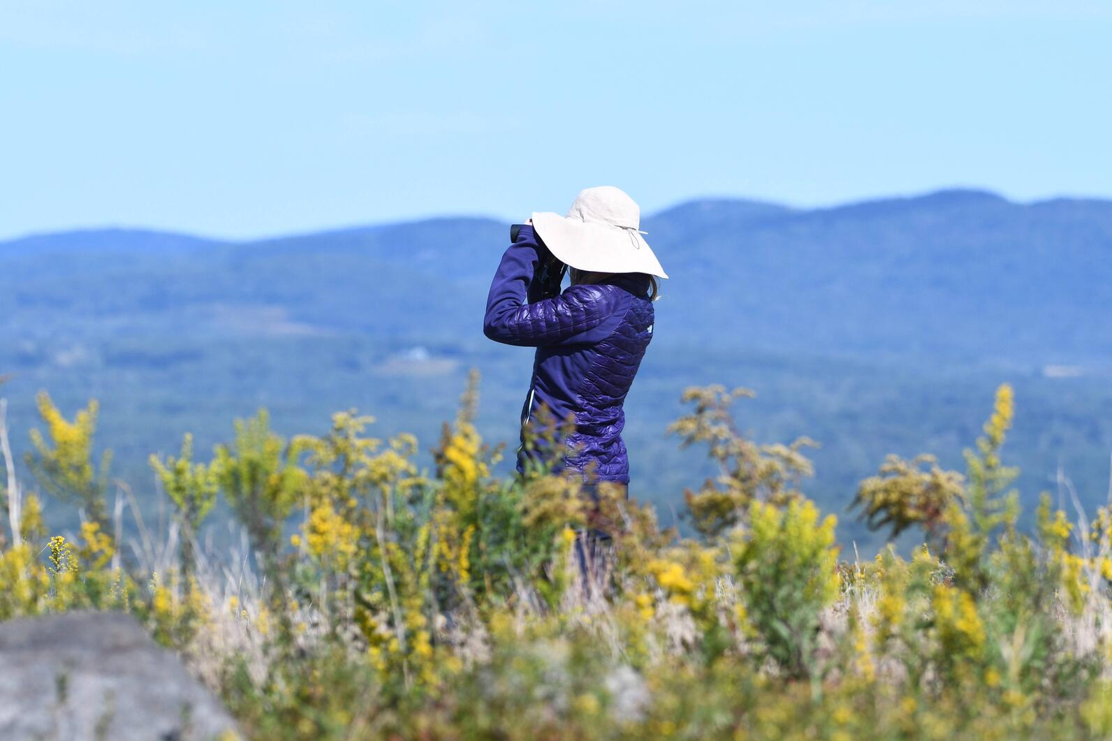 Birding at Clarry Hill.