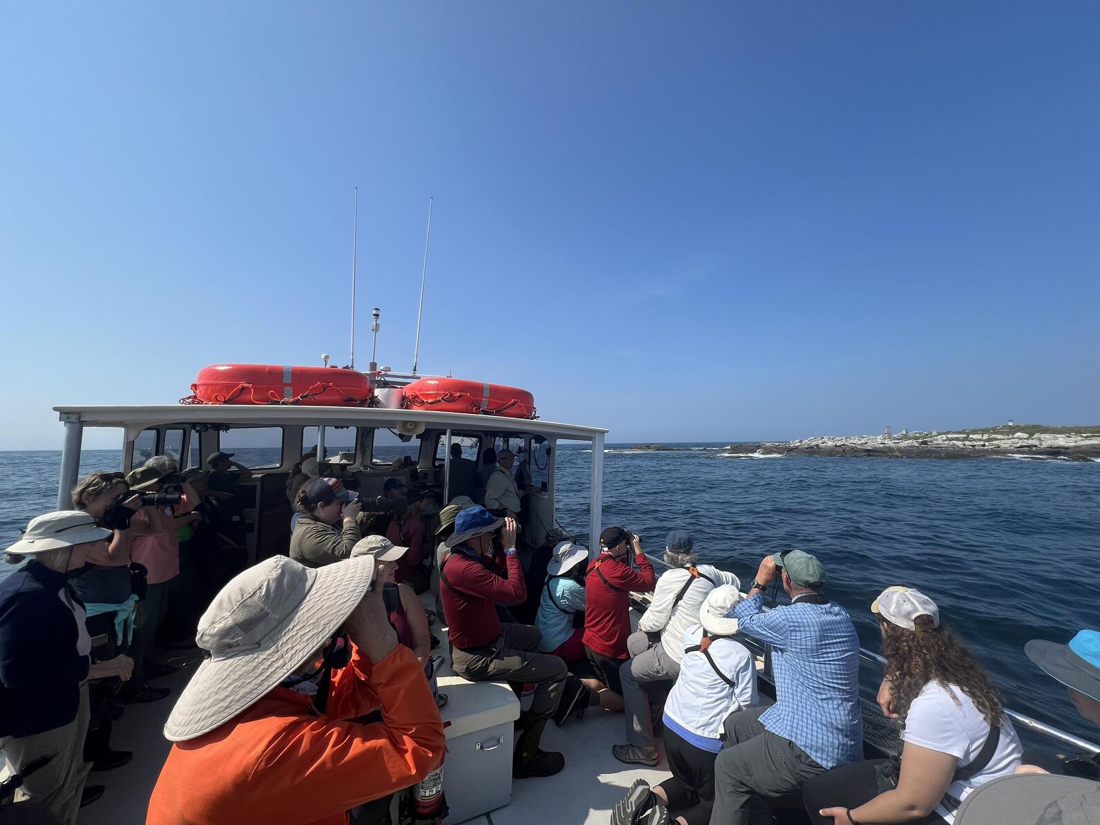 Campers birding on Muscongus Bay. 