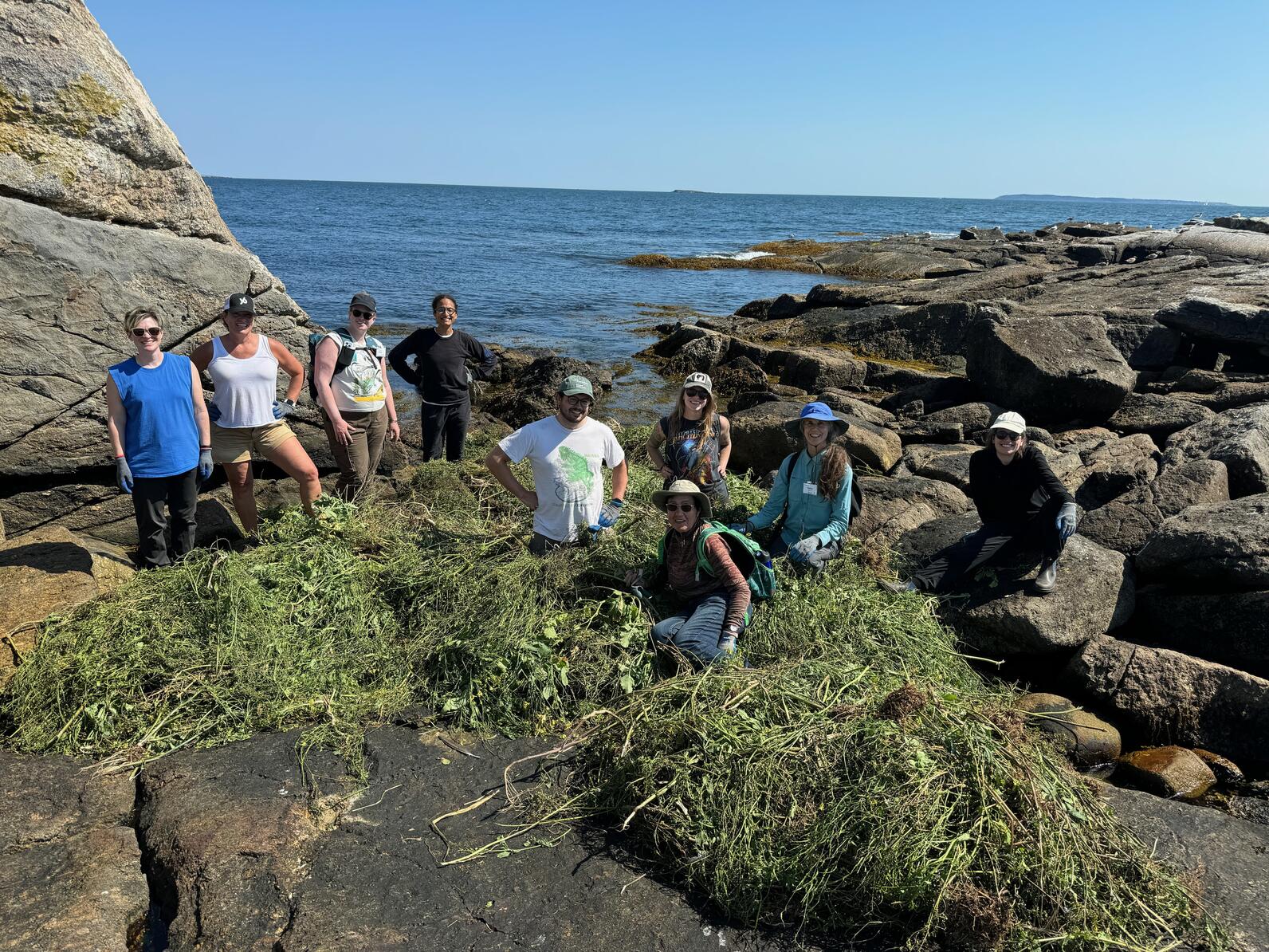 Campers hauling invasive plants off Eastern Egg Rock