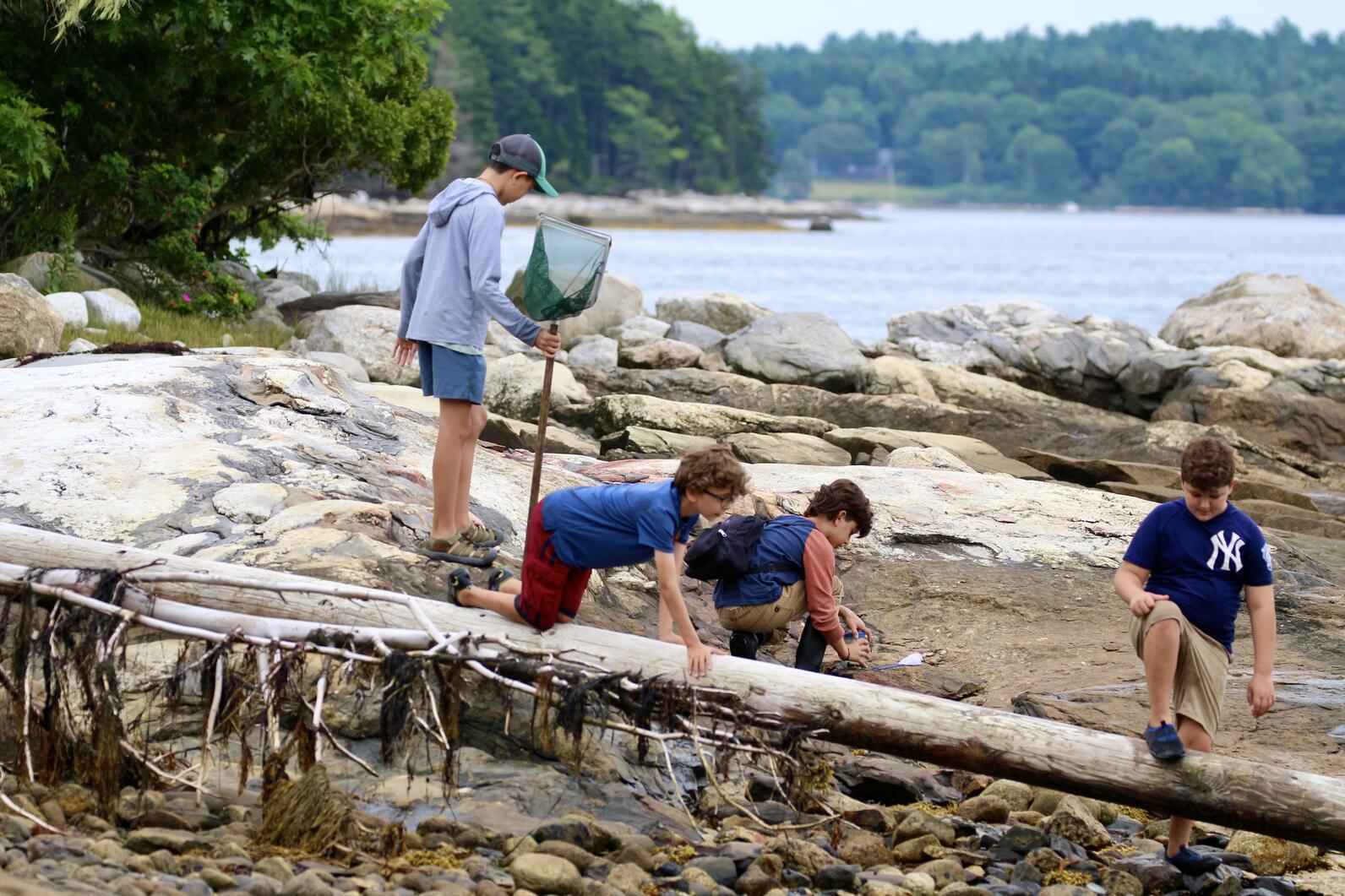 Campers playing in the intertidal zone