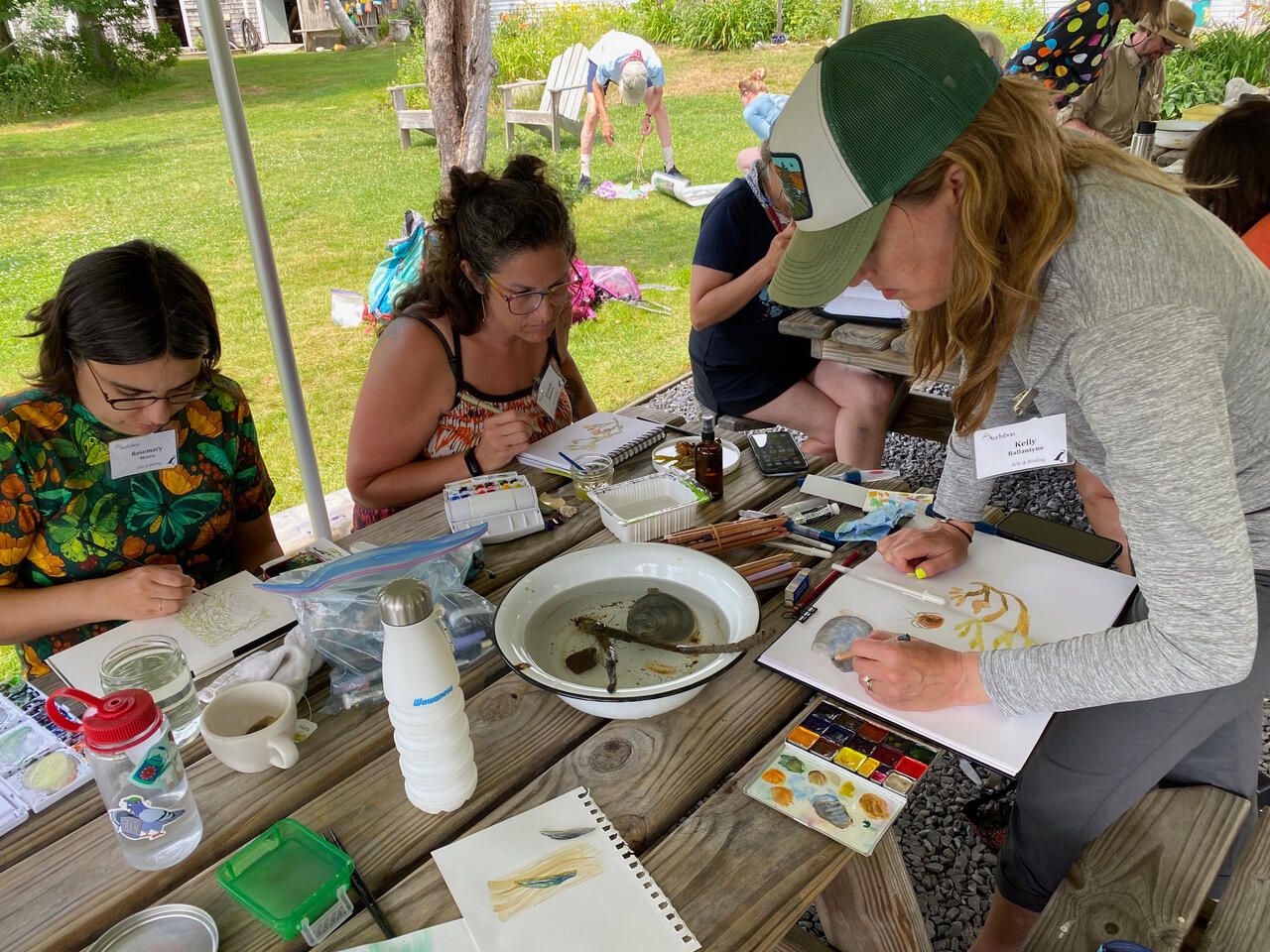 Campers sketching intertidal organisms