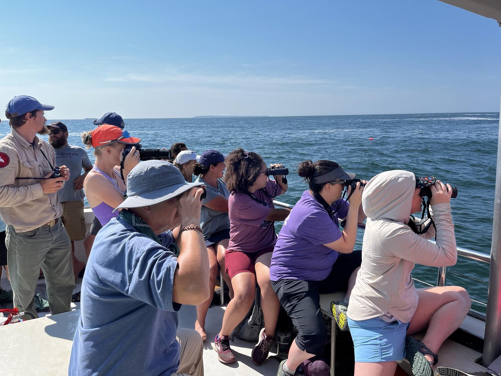 Birding on Muscongus Bay