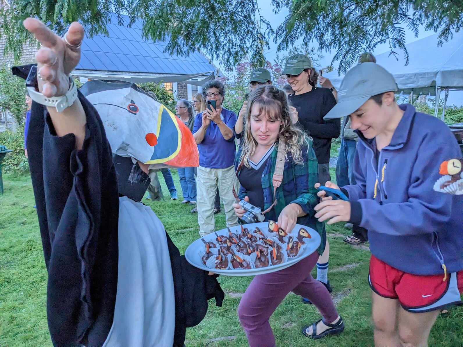 Cream Puffins to end camp season Cream Puffins to end camp season