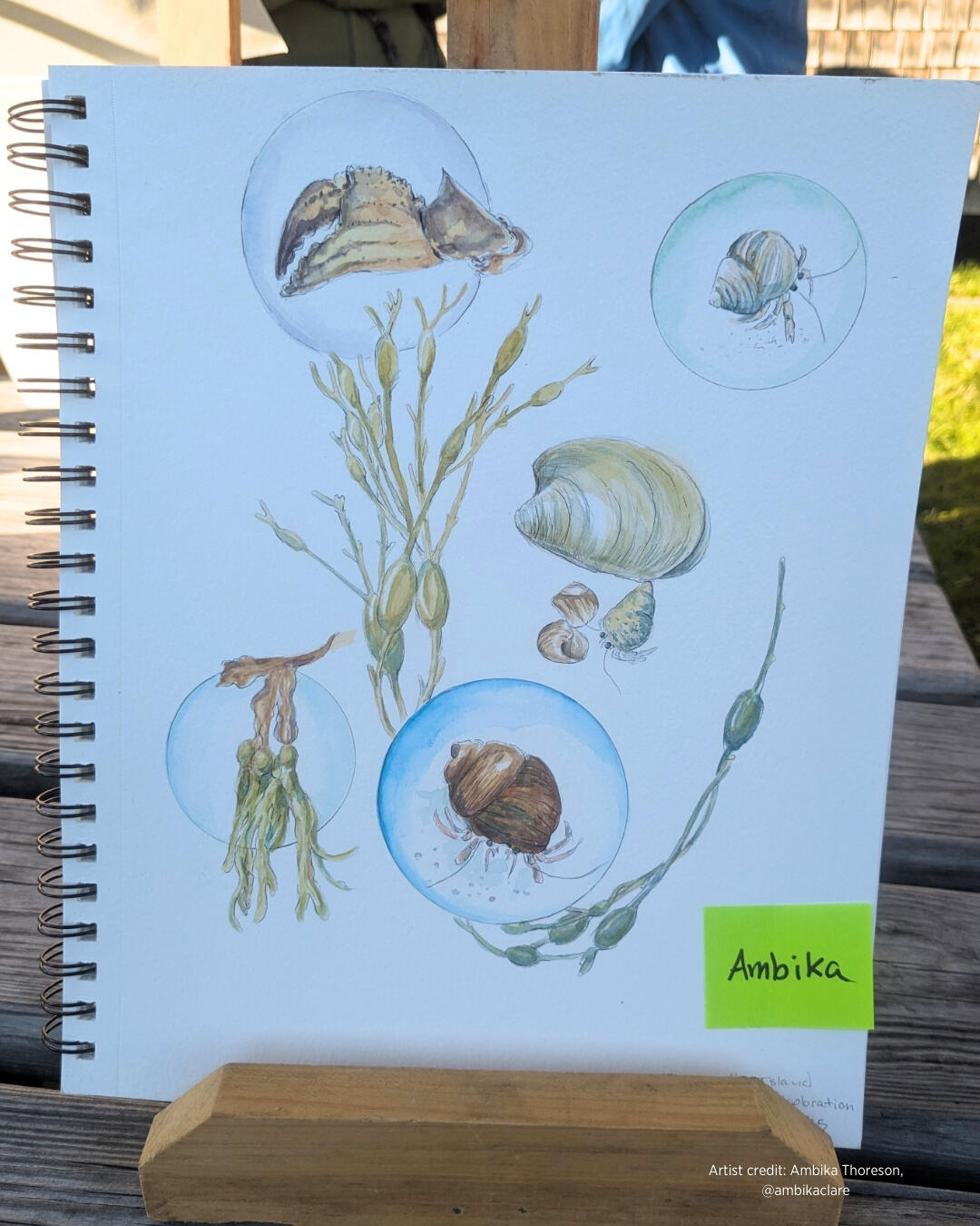 Copy of Grid Template