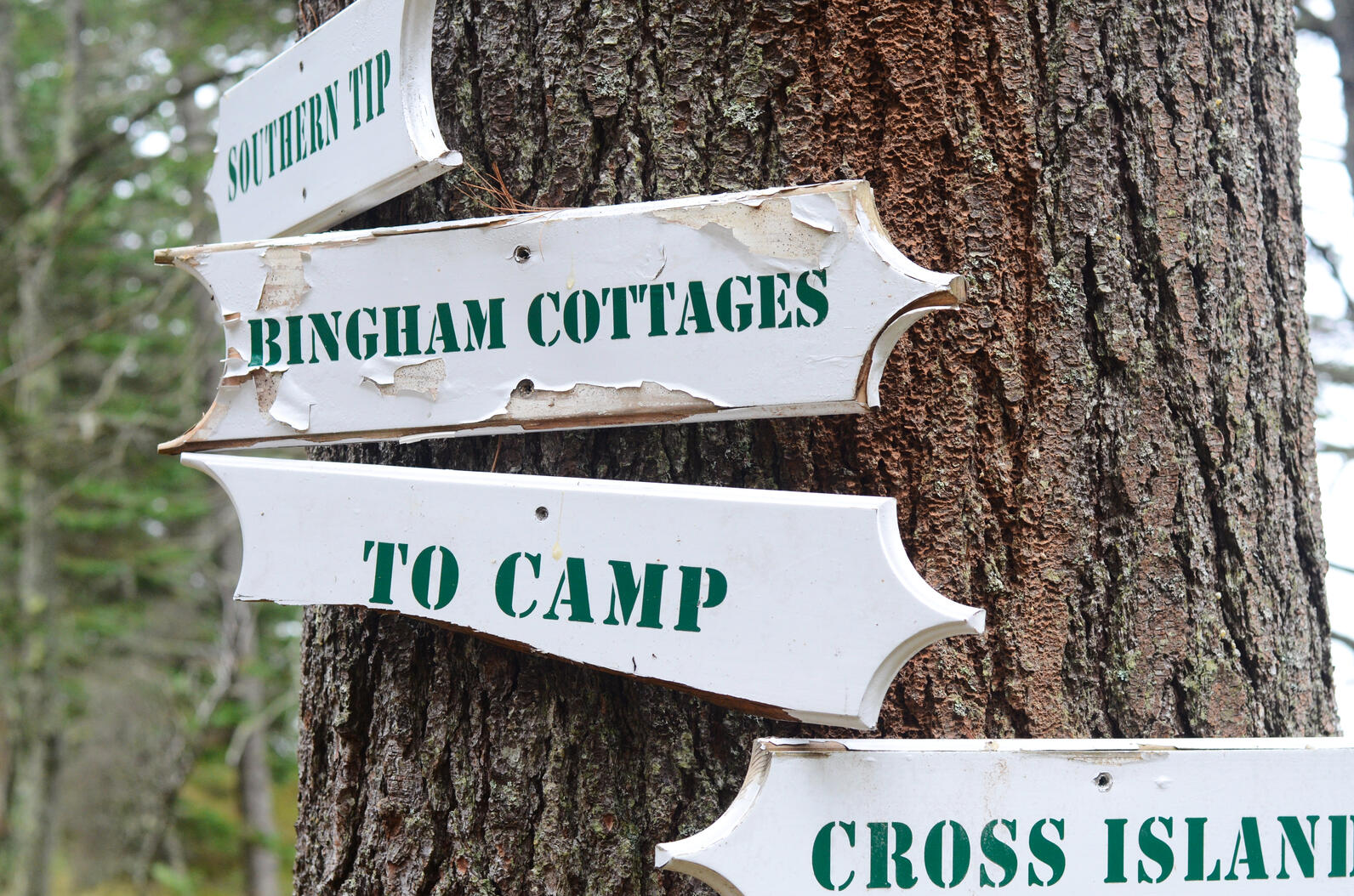 Hog Island Lodging Signs