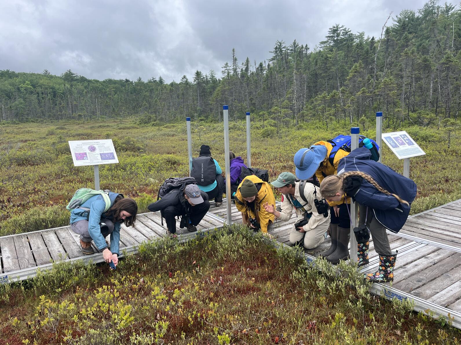 Getting up close and personal with the flora of Maine