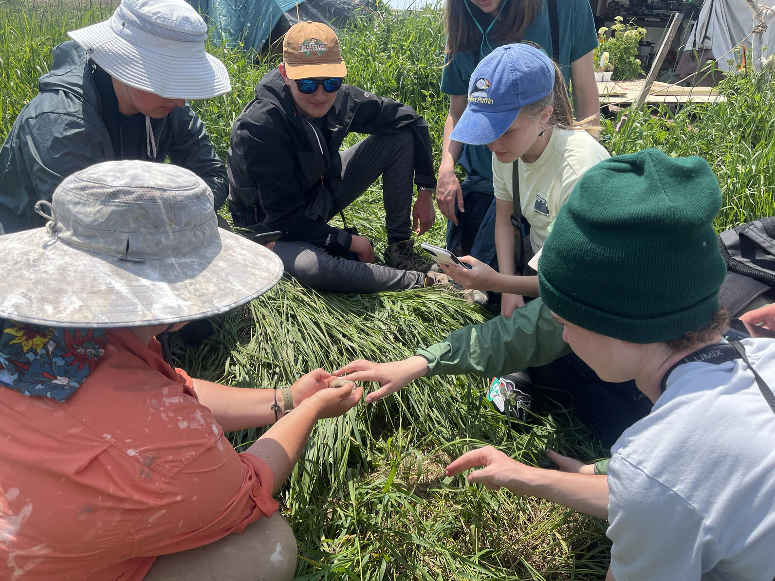 Teen campers learn about banding tern chicks on Eastern Egg Rock. Teen campers learn about banding tern chicks on Eastern Egg Rock.