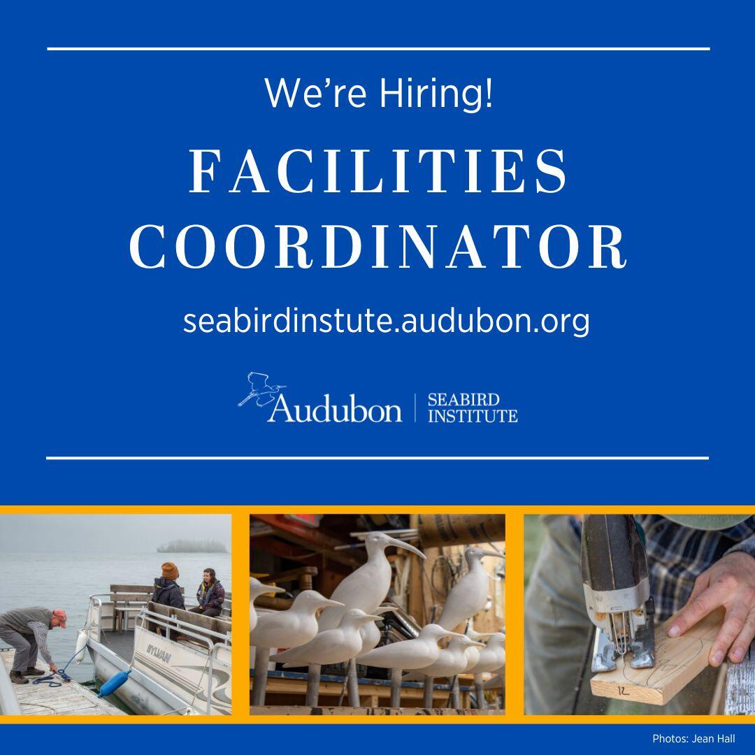 We are hiring a Facilities Coordinator